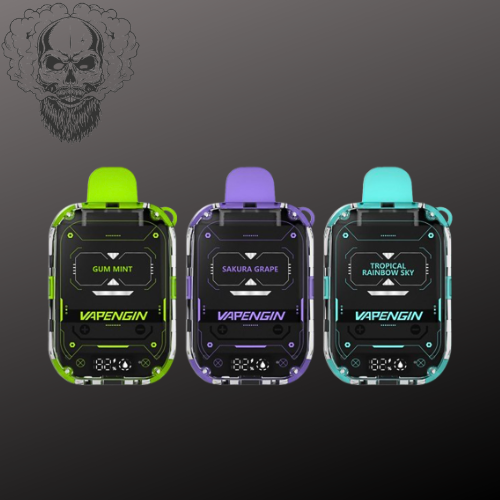 VAPENGIN| Novo 8500 Puffs 5%